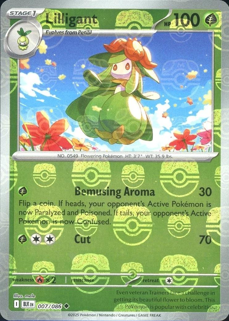 Black Bolt Lilligant [Master-Ball] Pokémon card